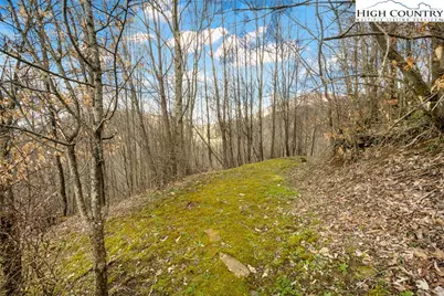 212 Goat Mountain Road, Zionville, NC 28698 - Photo 42