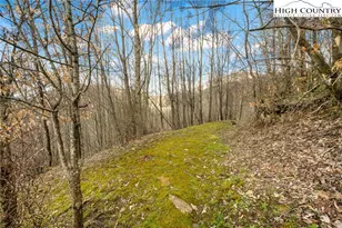 212 Goat Mountain Rd, Zionville, NC 28698 - Photo 42