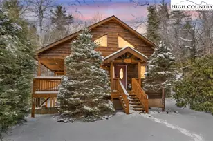 173 Spring Brook Rd, Newland, NC 28657 - Photo 2