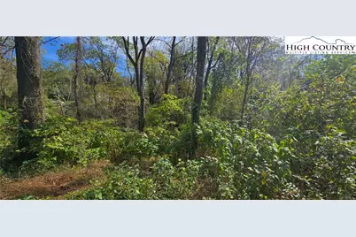 520 Healan Place, Lenoir, NC 28645 - Photo 6