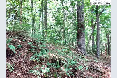 5354 West Ridge Lane, Ferguson, NC 28624 - Photo 2