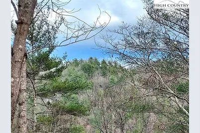 5354 West Ridge Lane, Ferguson, NC 28624 - Photo 12