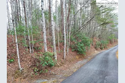 5354 West Ridge Lane, Ferguson, NC 28624 - Photo 6