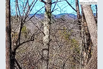 5354 West Ridge Lane, Ferguson, NC 28624 - Photo 14