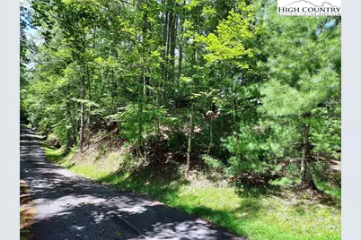 5354 West Ridge Lane, Ferguson, NC 28624 - Photo 4