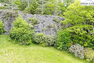 189 Old Nc 181, Newland, NC 28657 - Photo 4