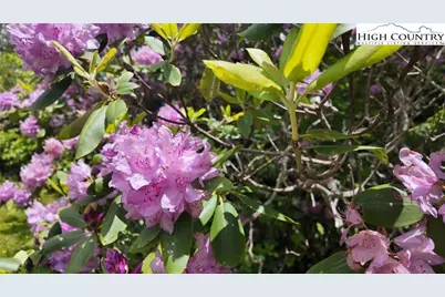 189 Old Nc 181, Newland, NC 28657 - Photo 36