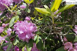 189 Old Nc 181, Newland, NC 28657 - Photo 36