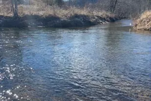 116 River Dr, Warrensville, NC 28693 - Photo 6