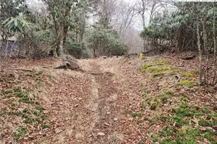 Tbd Gumtree Rd, Beech Mountain, NC 28604 - Photo 1