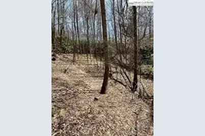 Tbd Hwy 88 Highway, Creston, NC 28615 - Photo 4