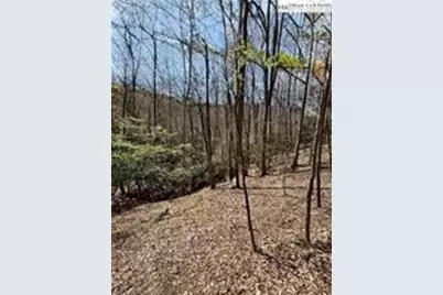 Tbd Hwy 88 Highway, Creston, NC 28615 - Photo 2