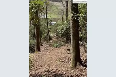 Tbd Hwy 88 Highway, Creston, NC 28615 - Photo 6