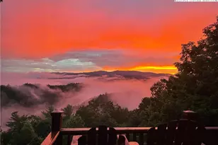 1155 Elk Ridge Rd, Ferguson, NC 28624 - Photo 44