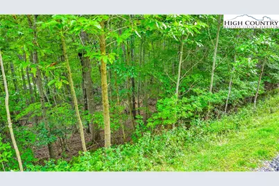 Tbd 2 Christmas Mountain Lane, Fleetwood, NC 28626 - Photo 12