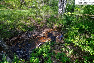 Tbd Ashe Park Road, Jefferson, NC 28640 - Photo 22