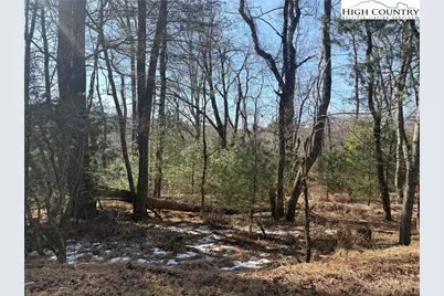 Tbd Hwy 21 S/Hollyknoll Rd., Glade Valley, NC 28627 - Photo 8