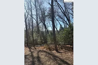 Tbd Hwy 21 S/Hollyknoll Rd., Glade Valley, NC 28627 - Photo 10