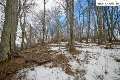 Lot 43 Summit Trail, Banner Elk, NC 28604 - Photo 4