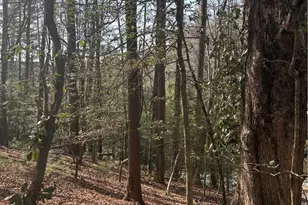 Tbd Hollyknoll Rd Lot #49 & 50, Glade Valley, NC 28627 - Photo 1