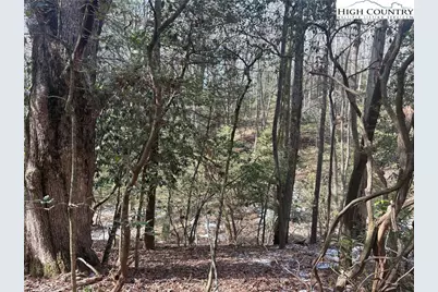 Tbd Hollyknoll Rd. Lot #49 & 50, Glade Valley, NC 28627 - Photo 8