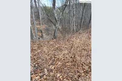 Lot 56 Happy Eden Drive, Piney Creek, NC 28663 - Photo 2