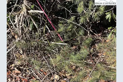 Lot 521 Timber Rock Drive, Lenoir, NC 28604 - Photo 14