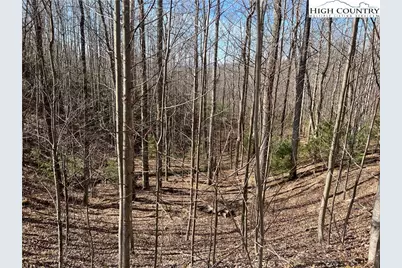 Lot 521 Timber Rock Drive, Lenoir, NC 28604 - Photo 4