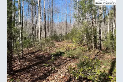 Lot 521 Timber Rock Drive, Lenoir, NC 28604 - Photo 12
