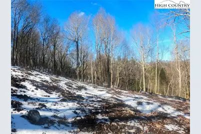 Lot 78 Belmont, Boone, NC 28607 - Photo 10