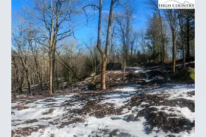 Lot 78 Belmont, Boone, NC 28607 - Photo 16