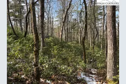 Tbd Lot 18 Walden Lane, West Jefferson, NC 28694 - Photo 6