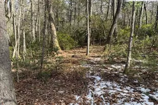 Tbd Lot 18 Walden Ln, West Jefferson, NC 28694 - Photo 1