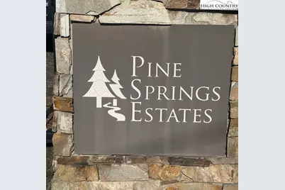 Tbd Lower Springs Drive, Jefferson, NC 28640 - Photo 6