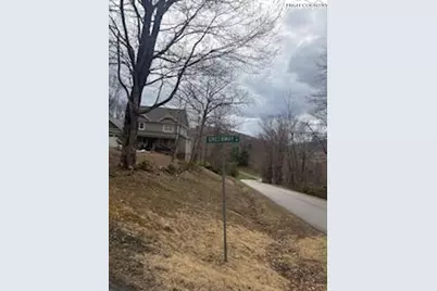 Tbd Greenway Ct Court, West Jefferson, NC 28694 - Photo 4