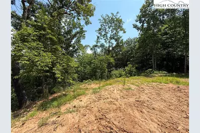 337 Lucas Path Drive, Purlear, NC 28665 - Photo 20