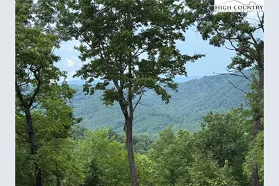 337 Lucas Path Drive, Purlear, NC 28665 - Photo 10