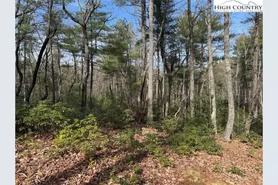 Lot 120 Rich Pine Drive, Purlear, NC 28665 - Photo 14