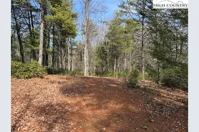 Lot 120 Rich Pine Drive, Purlear, NC 28665 - Photo 8