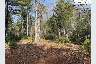 Lot 120 Rich Pine Drive, Purlear, NC 28665 - Photo 10