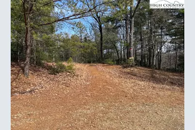 Lot 120 Rich Pine Drive, Purlear, NC 28665 - Photo 4