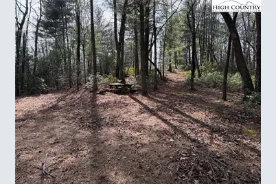 Lot 120 Rich Pine Drive, Purlear, NC 28665 - Photo 2