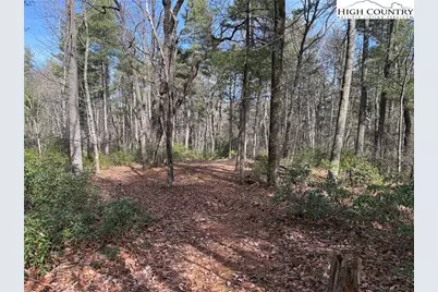 Lot 120 Rich Pine Drive, Purlear, NC 28665 - Photo 12