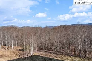 171 Pleasant View Dr, Vilas, NC 28692 - Photo 18