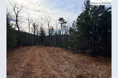 Lots 207 & 220 Maple Valley Lane, Purlear, NC 28665 - Photo 12