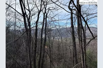 Lots 207 & 220 Maple Valley Lane, Purlear, NC 28665 - Photo 4