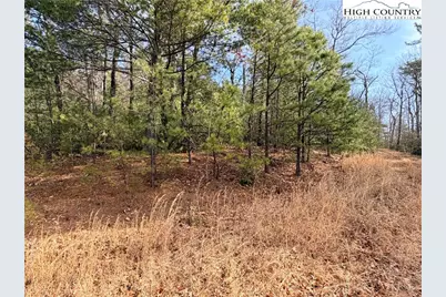 Lots 207 & 220 Maple Valley Lane, Purlear, NC 28665 - Photo 16