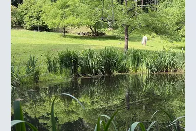 873 Silverleaf Road, Zionville, NC 28698 - Photo 46