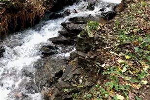 873 Silverleaf Rd, Zionville, NC 28698 - Photo 44