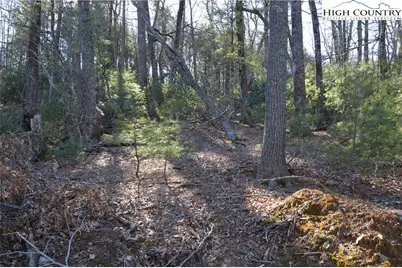 Tbd Greenhouse Road, Roaring Gap, NC 28668 - Photo 2